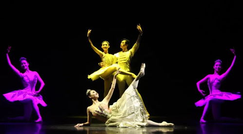 以美育人，以文化人 辽宁芭蕾舞团专场演出点亮宁夏大学新华学院艺术星空